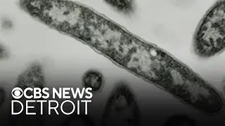 Oakland County officials report Legionella bacteria at 2 more buildings