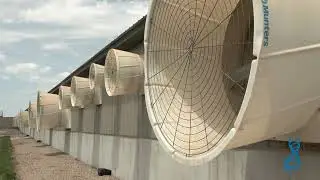 Winter Ventilation