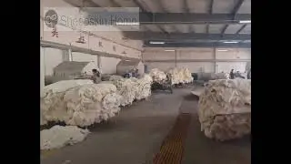 Sheepskin Home  Tanning workshop