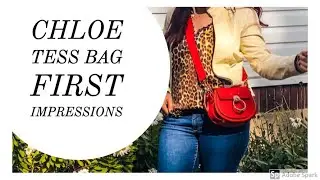 Chloe Tess Bag Reveal | What Fits And Try On