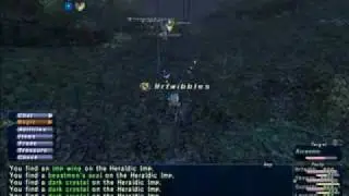 FFXI White Mage Tribute Music Video
