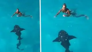Florida Mom Comes Face to Face With 8 Foot Shark