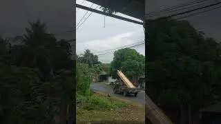 Sawmill jatim sedang live sekarang !!