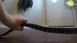 Kung Fu Maintenance Black Belt Me Favorite Belt So Far