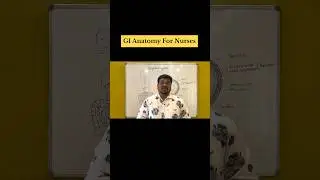 GI Anatomy for Nurses