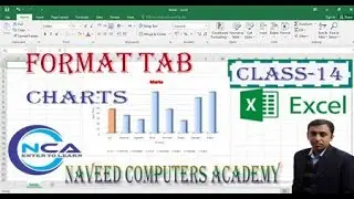 How to format Charts in excel | How insert shapes in Charts| Charts in excel