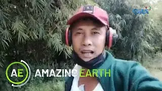 Amazing Earth: Rediscover plants with Daddy Joe