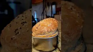 Enriched Sourdough Bread @sheilafard