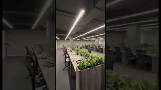 Workstation Design #officedesign #furniture #insta #reels #shortvideo #feedshorts #youtube #g20 #art