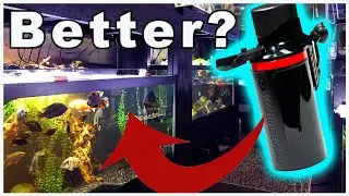 Internal Canister Filter Pros and Cons: What did this thing do to my TANK?