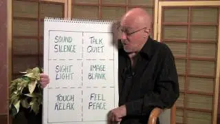 Mindfulness and Behavioural Change ~ Shinzen Young