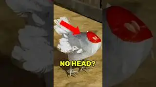 Top 5 Headless Animal Survivors 😱🪓 #animals