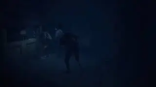 LNM2