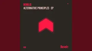 Alternative Principles