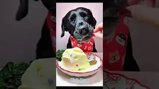 RICH DOG #ep05