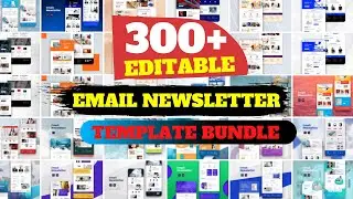 300+ High Engaging Email Newsletter Templates and Design