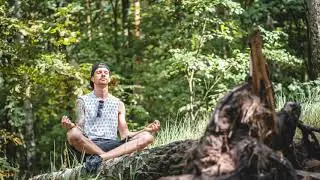 MBSR Sitting Meditation 30 minutes