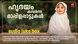 ഹൃദയം കവർന്ന മാപ്പിളപ്പാട്ടുകൾ | Best malayalam mappila songs | Mappila songs | Mappilappattukal