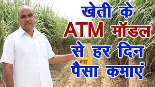 खेती का ATM Model, Best crop model of good earnings in Agriculture, Advanced farming
