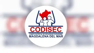 SESI&Oacute;N ORDINARIA CODISEC 22-07-2020