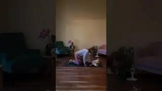 🐾✨Yoga with Leo & Luna: Cat Cow Pose Adventures! #yogawithgina #yoga #catyoga