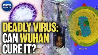 China Preps Nipah Virus Test Kits Despite Claiming No Cases | China in Focus