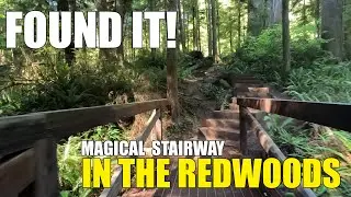 Exploring Oregon's Epic Beaches & Giant Redwoods