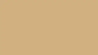 Spiced Cashews   Ambient Color Screen 10 Hours