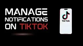How to Deactivate Push Notifications on TikTok