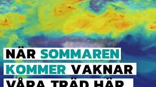 Great Northern Forest - R&auml;dda Skogen