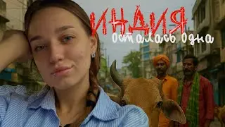 VLOG: РАБОЧИЕ БУДНИ В ИНДИИ 