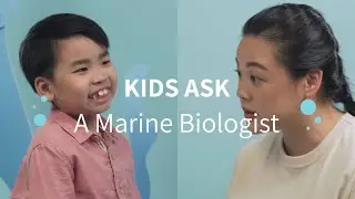 Kids Ask a Marine Biologist | The Learning Lab