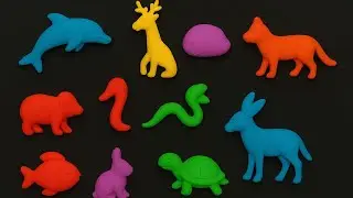 DIY Mini Animal Transformation | Satisfying Deep Cleaning