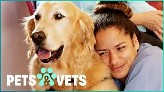 Abused Rescue Dog Finds Love In it's Old Age | Pets In Paradise