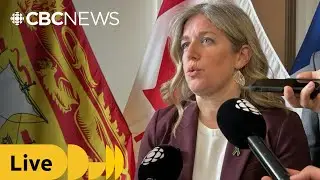 Premier gives update as N.B. grapples with out-of-control wildfires, extreme heat | CBC News
