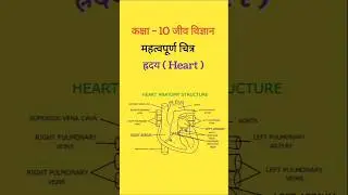 Class 10 UP Board Biology 🔥 Human Heart Important Figure | 5 Marks Pक्का 💯 Pre board exam✅