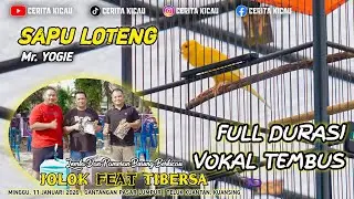 KENARI SAPU LOTENG FULL DURASI VOKAL TEMBUS❗️PODIUM 1 & 2❗️JOLOK feat TIBERSA 🚩