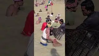 Catching Catla Fish from Boga Lake with Village Net #Shorts