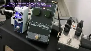 EchoMan Crescendo AutoSwell &alpha;-Drive | MyGuitarPedals [DaddyToys - Ep.003]