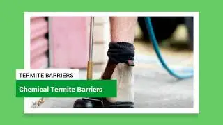 Termite Barriers Brisbane I Eco Pest Control