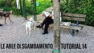 Area Cani