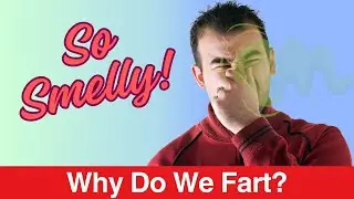 Understanding the Science of Farting |Why Do Fart Smell So Bad