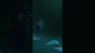 Dory Follows Shells and Finally Finds Her Parents in the Ocean - Finding Dory Scene 73