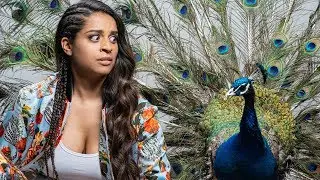 Shooting With A LIVE Peacock