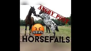 Horse Fails