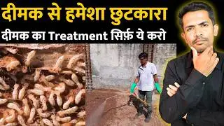 दीमक से छुटकारा कैसे पाए | Wall Termite Treatment| Termite Control Treatment |Best termite Pesticide