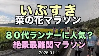 【鹿児島】坂しかない！超難関の絶景いぶすきマラソン！ #いぶすきマラソン #サブ４ #サブ35 2026.01.11