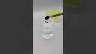 Chinese Bulk Blueberry extract 25% Anthocyanidins Powder with best price- Water soluble test