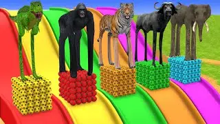 Epic Giant Animals Cross a Magical Fountain | Wildlife Animation 2025