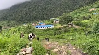 Nepal a Beautiful Nature Resource of Mountain side🇳🇵Very clean Scene Himalayan🇳🇵🇳🇵